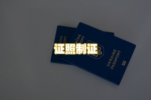 证照制证